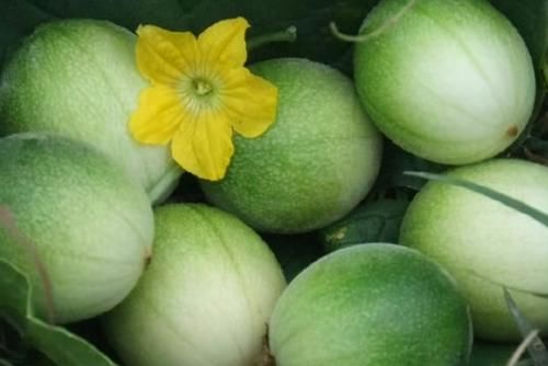 女性要多吃三種食物，排毒養(yǎng)顏，燃燒脂肪，清理體內(nèi)毒素