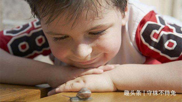 13个冷知识真实存在着,或许也曾知晓过的奇怪知识