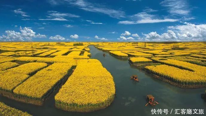 淋一场烟雨，遇一场花事，9个三月花海刷屏的地方