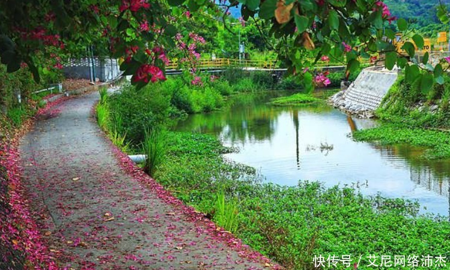 杜甫传世诗作 客至 蓬门今始为君开 一句 为何遭人质疑 全网搜 杜甫传世诗作 客至 蓬门今始为君开 一句 为何遭人质疑 全网搜