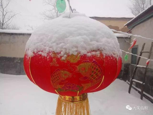 临朐的雪，看看俊不俊？