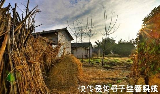 生命周期|古人讲：门前种三树，家兴富三世，古人的美好愿景，不妨留意下