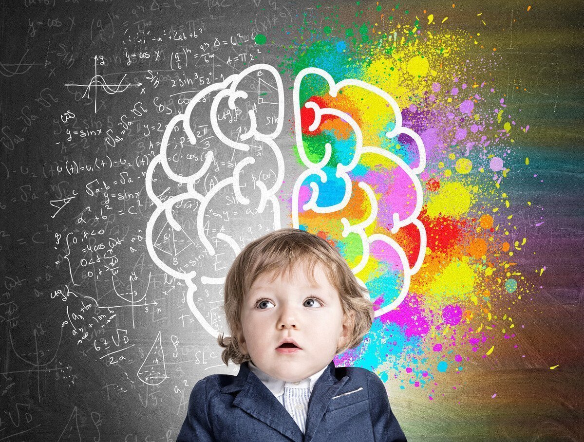 陈美玲|大脑发达的娃,有不一样的表现,父母不错过,或养出“人生赢家”