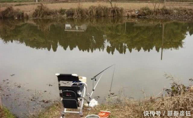 钓场|六月一热,我只想封竿不钓,不料十年老司机透露这狠招,太过瘾了