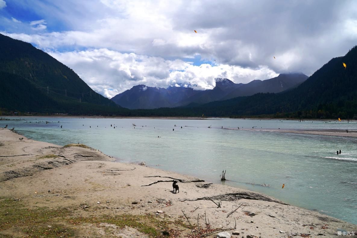 独自自驾游 欣赏最美的岗云杉林 体验环藏之旅的慢生活