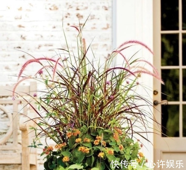 任何容器都能用来做花盆,请收好这30种美丽的花盆搭配设计