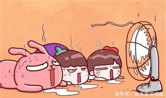 遮阳网|夏天来了不懂此些花卉降温方法,难怪你的花都死了