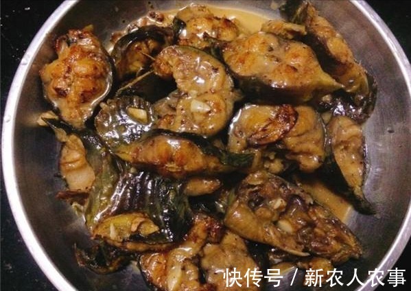 广东一男子的野钓大鱼梦,首次钓获30斤的鲶鱼,激动地举过了头顶