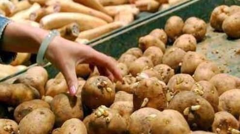 烹饪|发芽土豆能不能吃?我们都有误解了,真相告诉家人