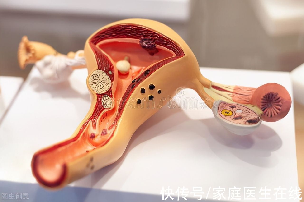 基础代谢|腰粗未必是“发福”，腰越粗，越容易患癌？赶紧来对照一下