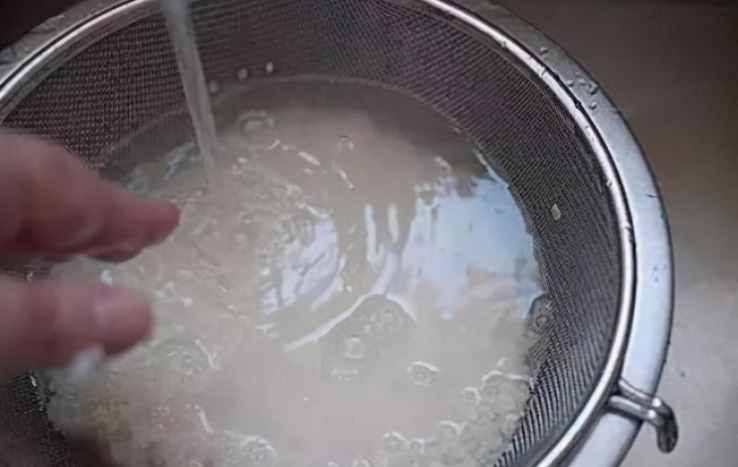 养花肥|这3样东西扔掉太可惜,学会正确方法制成养花肥,省钱、效果好