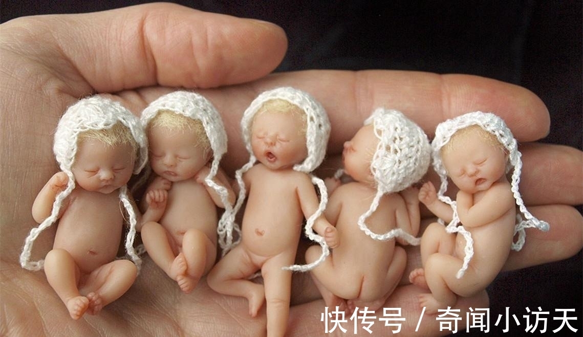 世上最小“婴儿”,5个能同时放在一只手上!是新生父母的最爱!