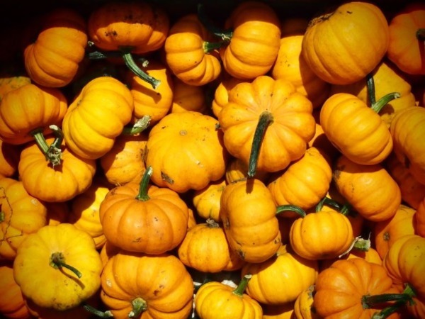 黄栀子|血液中垃圾毒素太多常吃4种食物,补充气血,美白淡斑,还抗衰老