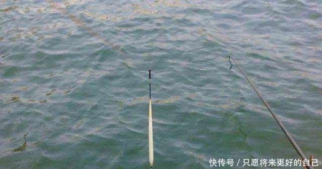 浮漂入水为啥会倾斜?老钓友不小心透露3点原因,现在知道还不晚