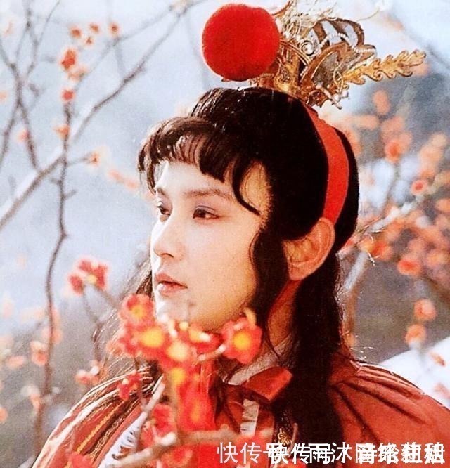 傅秋芳!大观园里这个不知名的婆子,说的一句话,揭示了黛玉的真实处境