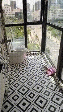 |搞笑GIF:本店月月的销售冠军,在这跳舞老板都不敢管