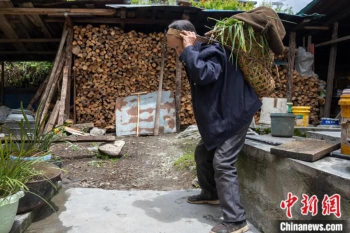 秘境|人这一辈子，一定要去一趟高原秘境墨脱……