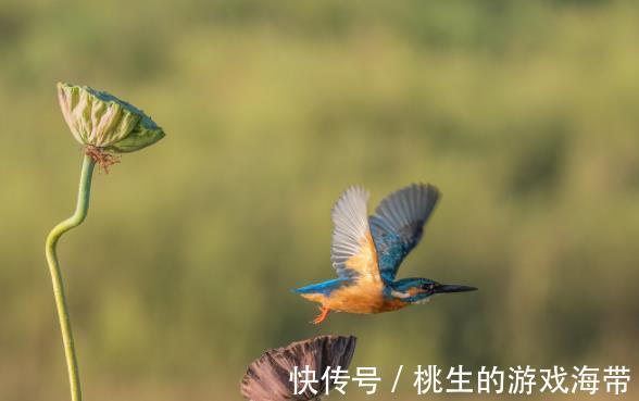 阳气|中医养生饮食标准,很实用,收藏了吧!