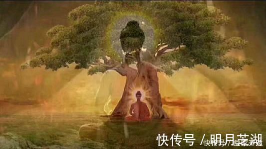 衣钵|“菩提本无树”是什么意思,为什么能助力六祖慧能得到禅宗衣钵?