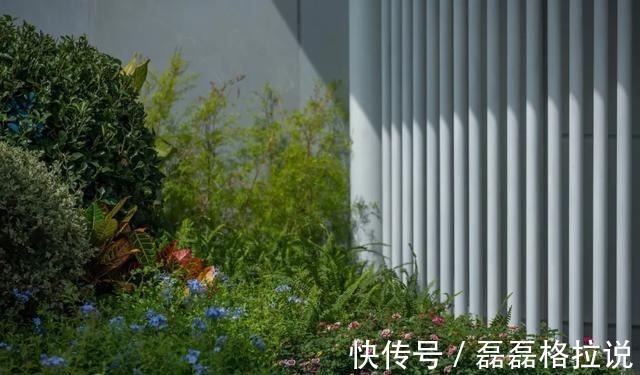 城市|融创的又一个代表作！