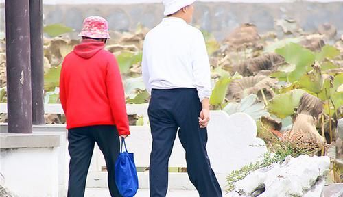  干净|血脂高的人，天然“血管清道夫”，闲时吃点，血管或能逐渐干净