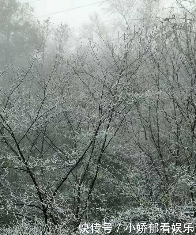 贵州|快看！贵州黔东南雷公山上处处银装素裹，风景美翻了……