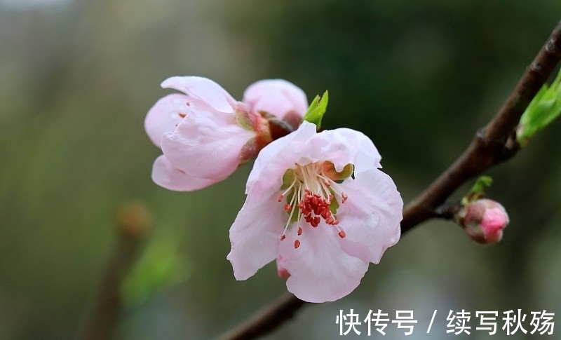 味道#7首诗写春天,每一首都有各自的味道,你认为谁写得比较好?