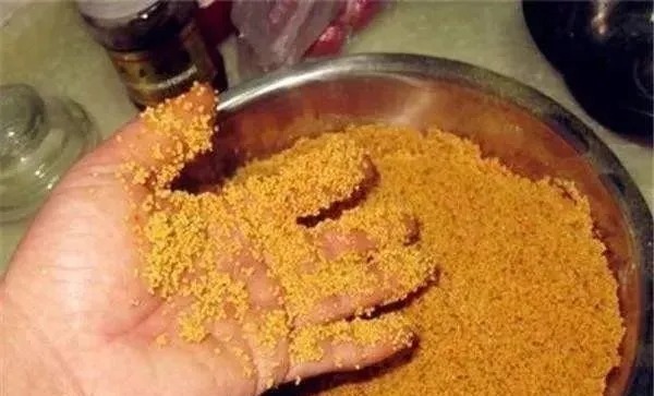 秋季廉价鲫鱼窝，却是最好的聚鱼窝料，这五样东西混合就行