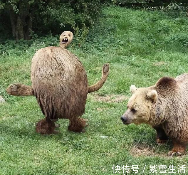 花式秀!儿子画成什么样,爸爸就能P成什么样子,花式秀父爱坐拥百万粉丝