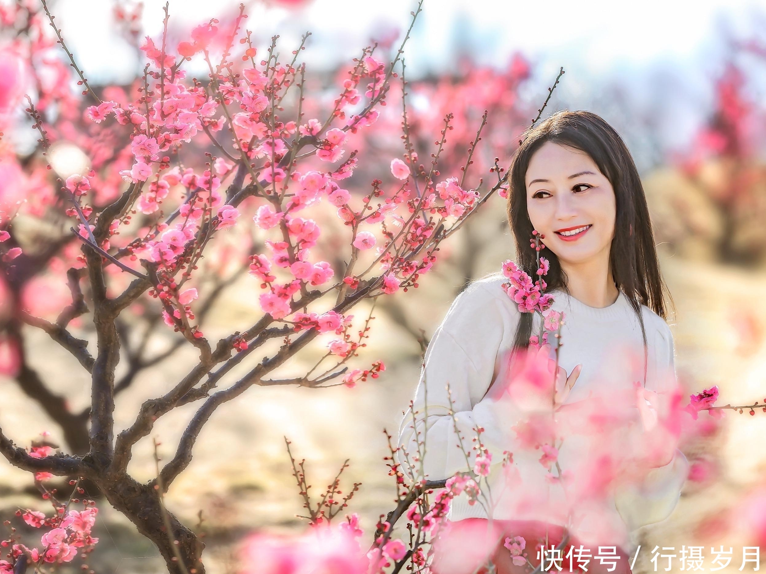 春日感怀：花谢花飞花满天，红消香断谁人怜