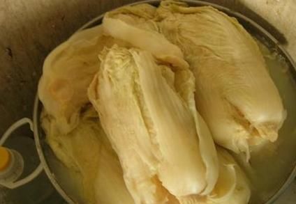 秋天腌酸菜时，别用错了‘水’，坛子可能长霉发臭，酸菜口感还差