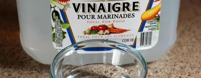 养花浇水是门学问，不讲究迟早要吃大亏，别再随意用了