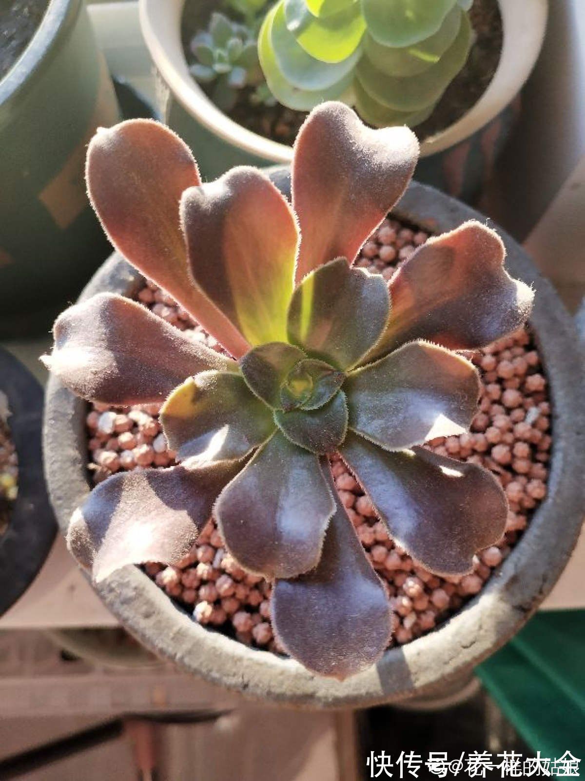 小生意|今年下半年起,农村严查3种“小生意”,严重的会被直接判刑