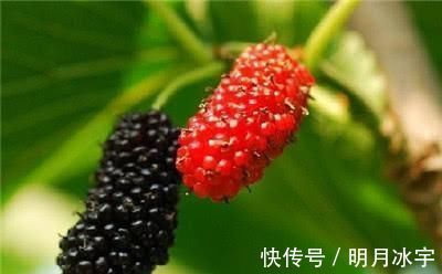 女性|睡前四个坏习惯会加速女性衰老，40岁之后，劝你一个都别忽视