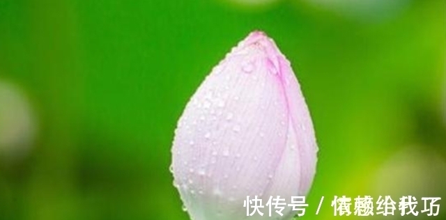 原生家庭|一个家庭难以富贵,往往是犯了这3个糊涂,要想家庭兴旺不妨一看