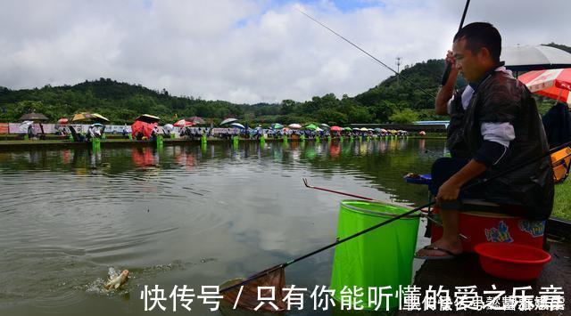 技巧|钓鱼时放药酒效果很好，但用错了反而死窝，几个技巧让你钓好鱼