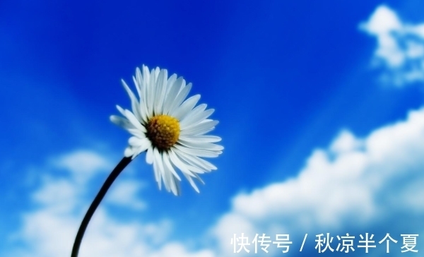 生肖|10月15日开始,吉星照耀,财源滚滚,好事接连不断,生活美满