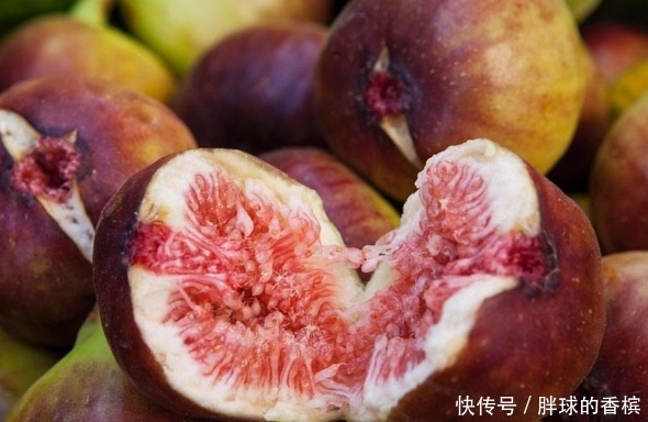 冬天每天坚持食用一个此水果,能健胃消食,润肠通便,治疗痔疮