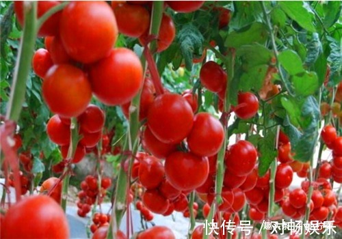 养颜美容|女性想要身体好,常吃3种食物,养颜美容,排毒瘦身,增强抵抗力