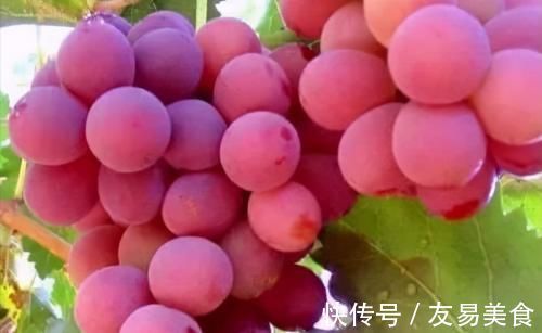 胡医师|会吃的女人皮肤好,推荐以下3种食物,美白淡斑,改善肤质