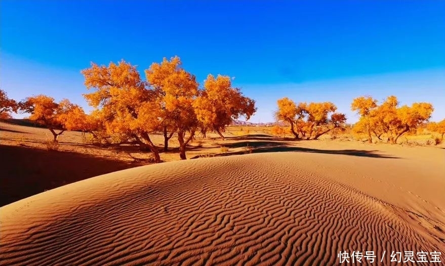 航天梦·太空美!会拍你就犇过来……