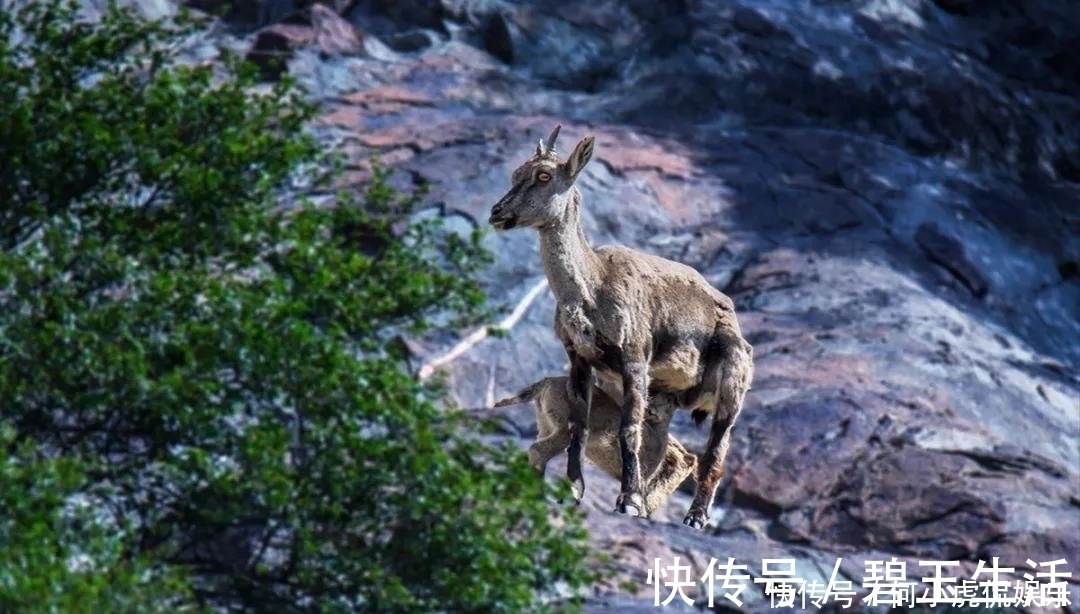 磁县|如果没有贺兰山，“塞上江南”将会怎么样中国自驾地理