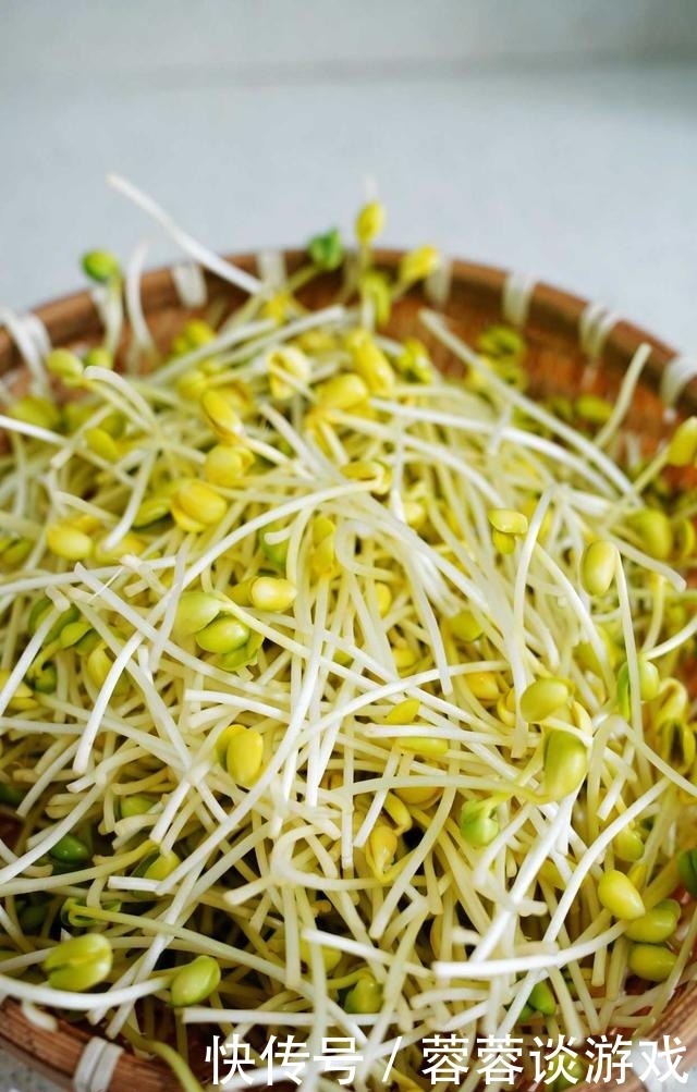 用了我这办法,发黄豆芽不会变臭一次就成功,五天就长15厘米高!