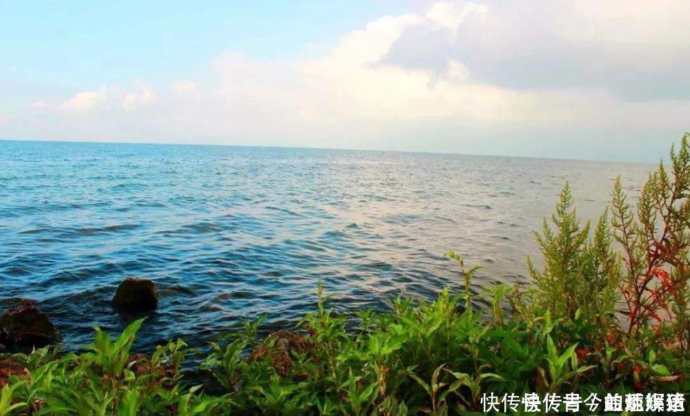 酣睡|杨万里路上遇见个放牛娃,写下首28字趣诗,无一生僻字却如诗如画