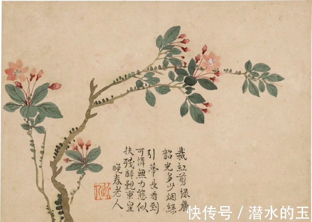 花卉图$汪士慎:一生心事为花忙丨私享艺术