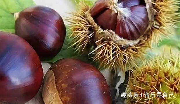 荞头|女人想皮肤好，4种食物换着吃，去除皱纹，祛皱美容，谁吃谁受益