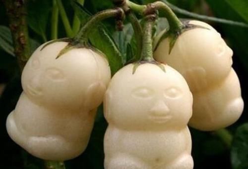 蘑菇|聪明的人最会养身,3种食物经常换,可排出体内毒素,延缓衰老