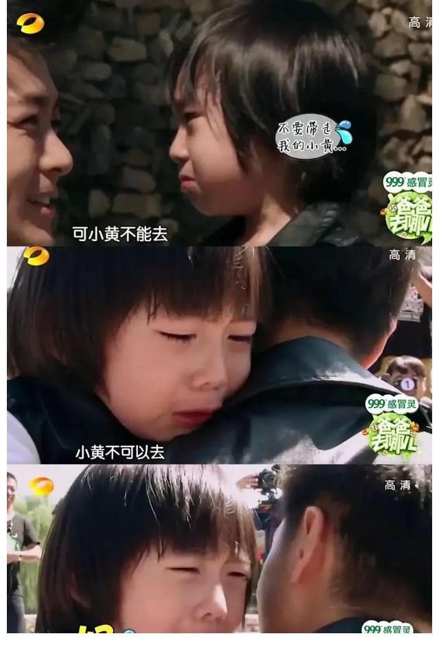 跑男|本末倒置？太多的明星走上了综艺这条路