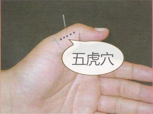  人体|中医健康养生之人体手部穴位五虎穴