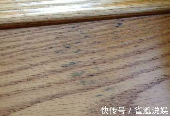 木门|卫生间最不能''这样''的门,以过来人的惨痛经验告诉你,超后悔